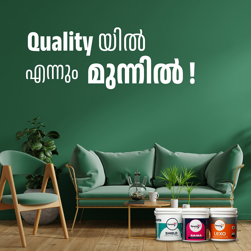 Indias favourite paint brand spania paints about us